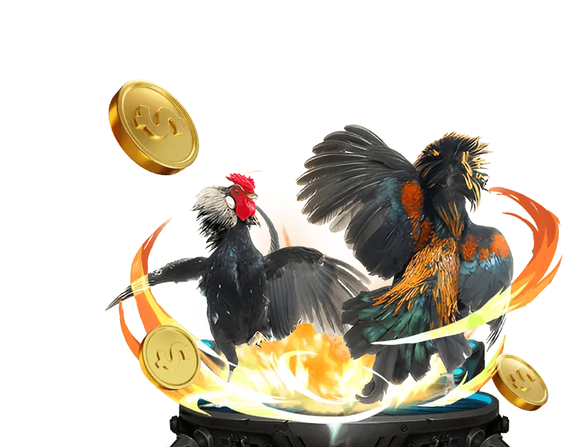 Tổng quan về đá gà trực tuyến Win2026